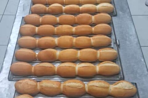 WhatsApp Image 2024-04-11 at 13.26.09 (1)